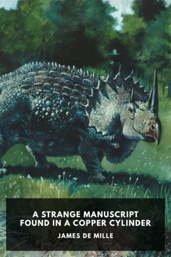 Книга A Strange Manuscript Found in a Copper Cylinder