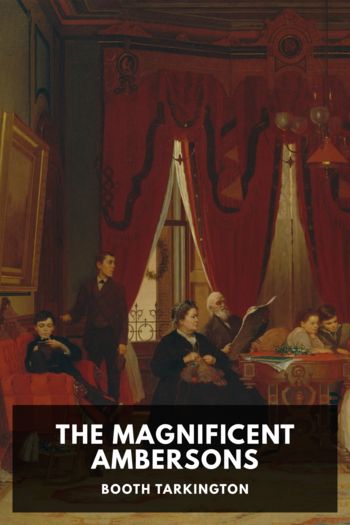 Читать онлайн книгу The Magnificent Ambersons автор Booth Tarkington Книга The Magnificent Ambersons