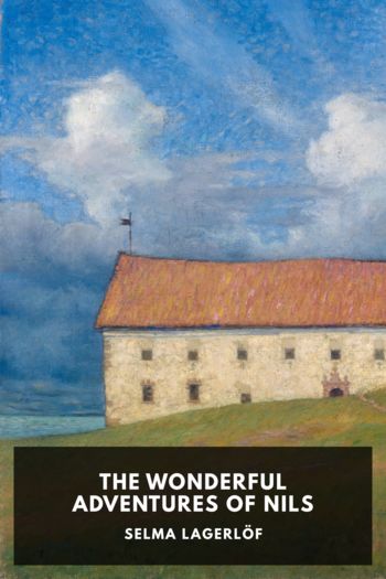 Книга The Wonderful Adventures of Nils