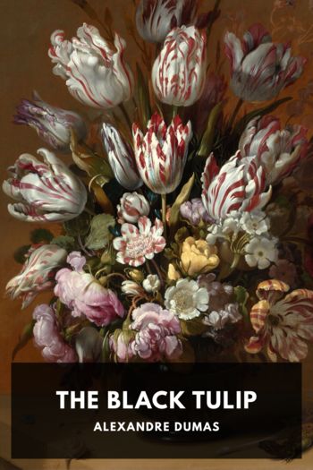 Читать онлайн книгу The Black Tulip автор Alexandre Dumas Книга The Black Tulip