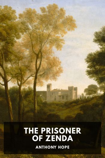 Читать онлайн книгу The Prisoner of Zenda автор Anthony Hope Книга The Prisoner of Zenda
