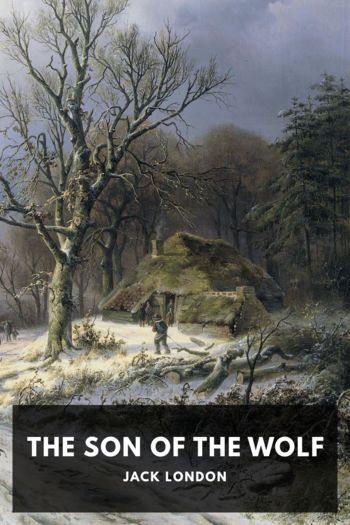 Книга The Son of the Wolf