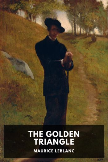 Книга The Golden Triangle