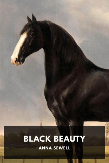 Читать онлайн книгу Black Beauty автор Anna Sewell Книга Black Beauty