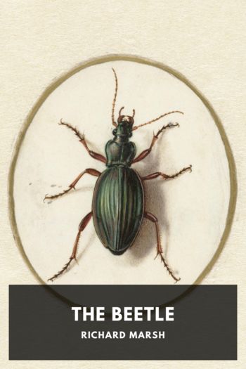 Читать онлайн книгу The Beetle автор Richard Marsh Книга The Beetle