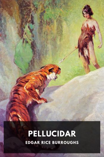Читать онлайн книгу Pellucidar автор Edgar Rice Burroughs Книга Pellucidar