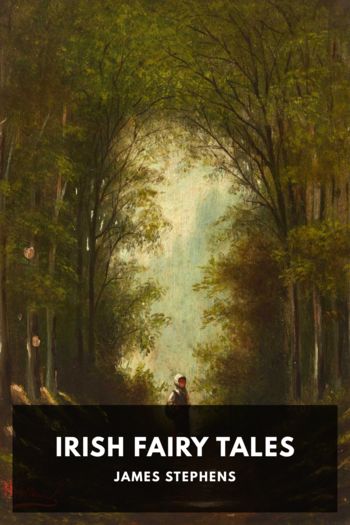 Книга Irish Fairy Tales