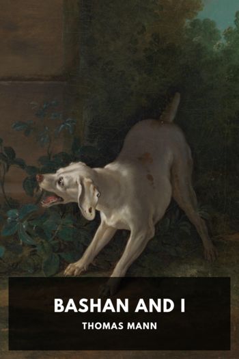 Книга Bashan and I