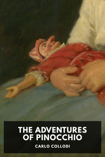 Читать онлайн книгу The Adventures of Pinocchio автор Carlo Collodi Книга The Adventures of Pinocchio
