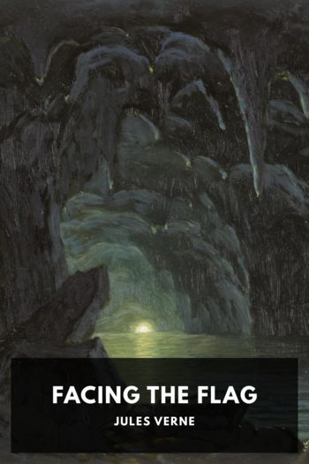 Книга Facing the Flag