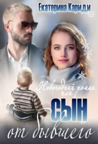 Читать онлайн книгу Новогодний роман, или Сын от бывшего автор Екатерина Кариди Книга Новогодний роман, или Сын от бывшего