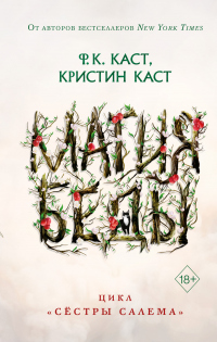 Читать онлайн книгу Магия беды автор Филис Кристина Каст;Кристин Каст Книга Магия беды