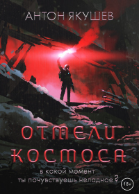 Читать онлайн книгу Отмели космоса автор Антон Якушев Книга Отмели космоса