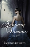 Книга January Dreams