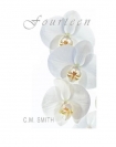 Книга Fourteen