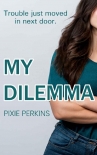 Книга My Dilemma