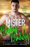 Книга Mister Baby Daddy (Bad Boys in Love Book 3)