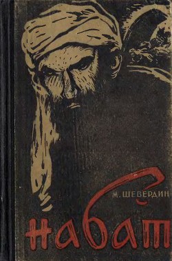 Книга Набат. Книга вторая. Агатовый перстень