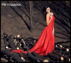 Читать онлайн книгу Не подарок (СИ) автор Книга Не подарок (СИ)