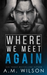 Книга Where We Meet Again