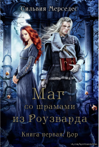 Читать онлайн книгу Вор автор Сильвия Мерседес Книга Вор
