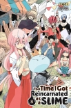 Книга That Time I Got Reincarnated as a Slime, Vol. 8