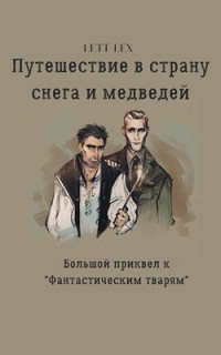 Читать онлайн книгу Путешествие в страну снега и медведей автор Lett Lex Книга Путешествие в страну снега и медведей