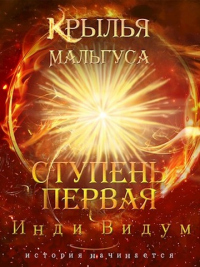 Читать онлайн книгу Ступень первая автор Инди Видум Книга Ступень первая