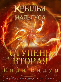 Читать онлайн книгу Ступень вторая автор Инди Видум Книга Ступень вторая
