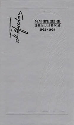 Книга Дневники 1928-1929