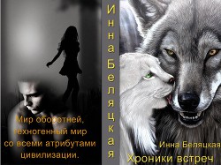 Книга Хроники встреч (СИ)