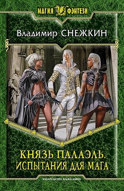 Читать онлайн книгу Испытания для мага автор Снежкин Владимир Книга Испытания для мага