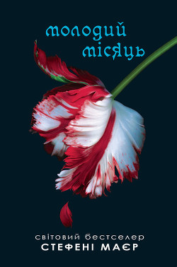 Книга Молодий місяць