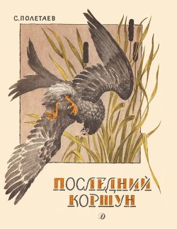 Читать онлайн книгу Последний коршун автор Полетаев Самуил Ефимович Книга Последний коршун