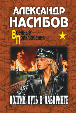 Читать онлайн книгу Долгий путь в лабиринте автор Насибов Александр Ашотович Книга Долгий путь в лабиринте