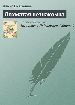 Читать онлайн книгу Лохматая незнакомка автор Емельянов Денис Книга Лохматая незнакомка
