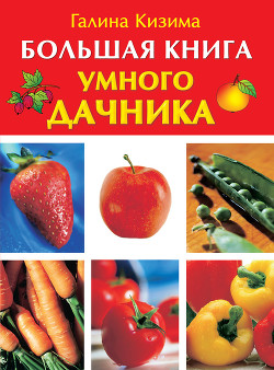 Читать онлайн книгу Большая книга умного дачника автор Кизима Галина Александровна Книга Большая книга умного дачника