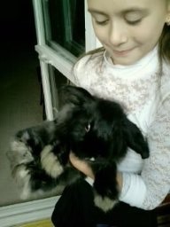 Книга Заяц (СИ)