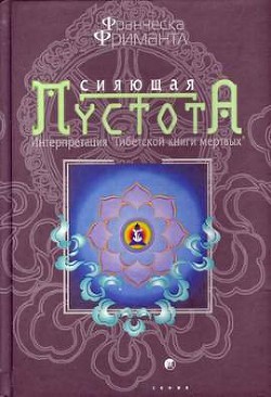 Читать онлайн книгу Сияющая пустота. Интерпретация Книга Сияющая пустота. Интерпретация