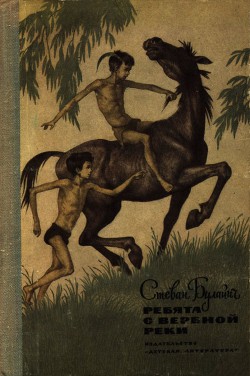 Читать онлайн книгу Ребята с Вербной реки автор Булайич Стеван Книга Ребята с Вербной реки