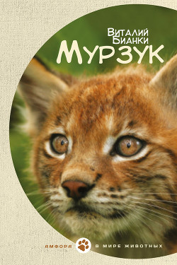 Книга Мурзук