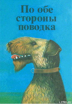 Книга Дог