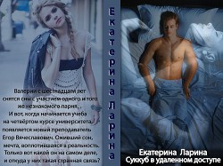 Книга Суккуб в удаленном доступе (СИ)