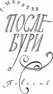 Книга После бури
