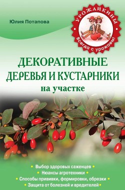 Читать онлайн книгу Декоративные деревья и кустарники на участке автор Потапова Юлия Владимировна Книга Декоративные деревья и кустарники на участке