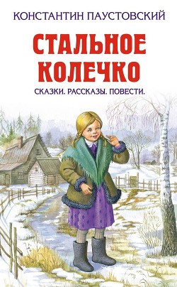 Книга Стальное колечко