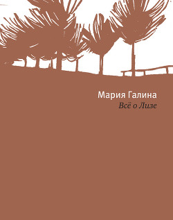 Книга Всё о Лизе