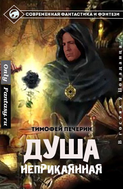 Читать онлайн книгу Душа неприкаянная (СИ) автор Печёрин Тимофей Книга Душа неприкаянная (СИ)