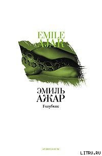 Книга Голубчик