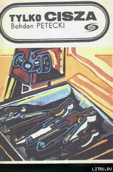 Книга Только тишина